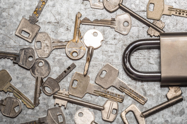 Expert Locksmith Administrations: Why Need Them?